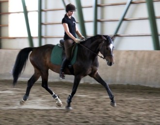 Anna ja Lotta eversti Carden kurssilla Ruukki 06/2012