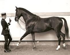 Eversti Christian Carde ja Quavalcadour