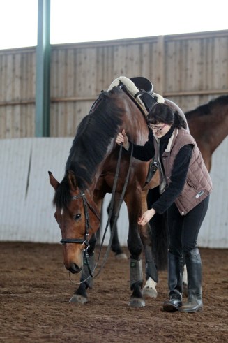 Chapri harjoittelee pään laskemista Sallan kanssa.