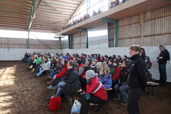 Yleisö Korpelan tallin maneesissa. Kuva Johanna Havia.