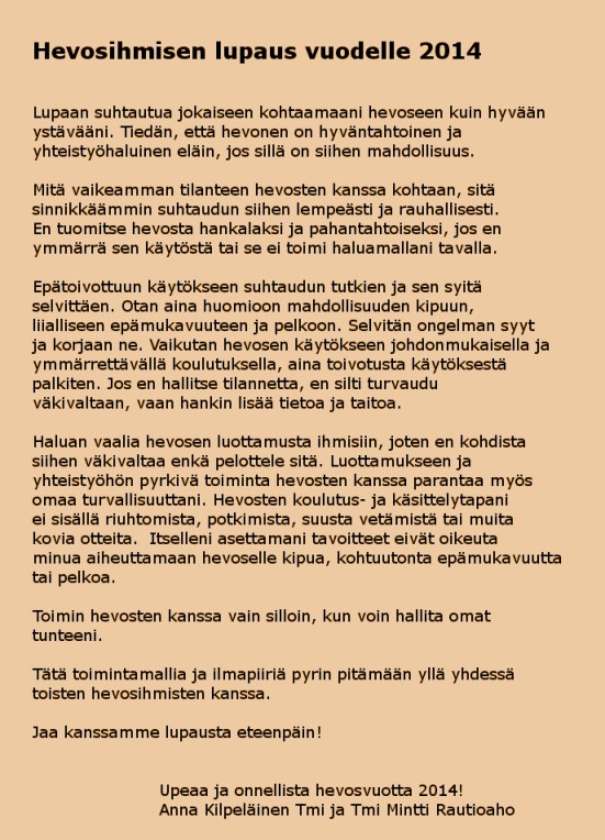 Uuden vuoden lupaus 2014