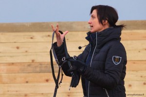 Suomenhevosen kouluttaminen ratsuksi, 6.6.2015 Rovaniemi