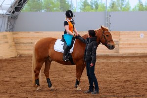 Suomenhevosen kouluttaminen ratsuksi, 6.6.2015 Rovaniemi