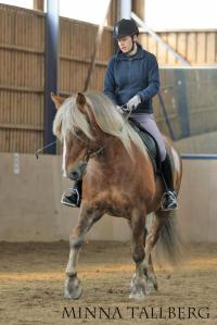 Hyvässä ja tehtävään sopivassa sivusuuntaisessa ja pitkittäisessä tasapainossa liikkuva hevonen on keveä tuntumalla, nopea reagoimaan pieniin apuihin ja levollinen.