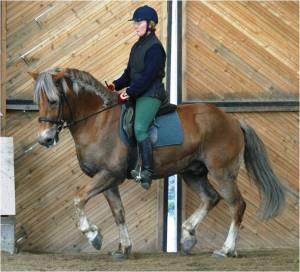 Marjut Turunen ja Linnun Jocke