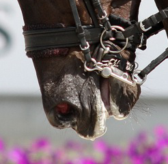 A tense and compressed mouth