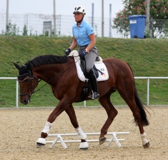 The horse flexes acceptingly towards the bit. Uta Gräf and Damon Jerome H, photo Silke Rottermann