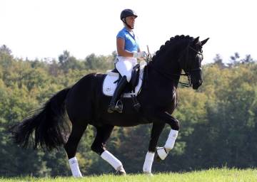 Calm and attentive horse on the bit with soft contact doing piaffe. Uta Gräf and Le Noir. Photo: Silke Rottermann