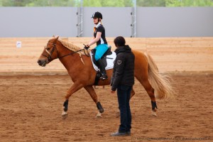 Etupainoisesti liikkuva hevonen on koulutettava korjaamaan tasapainoaan, jotta se pystyy tekemään ratsastuksessa vaadittavia harjoitteita päätymättä nojaamaan ohjastuntumaan tai jäykistämättä kehoaan. Kuvan hevonen ei osaa vielä kannatella rintakehäänsä ja siirtää kehonsa painopistettä taaksepäin. 
