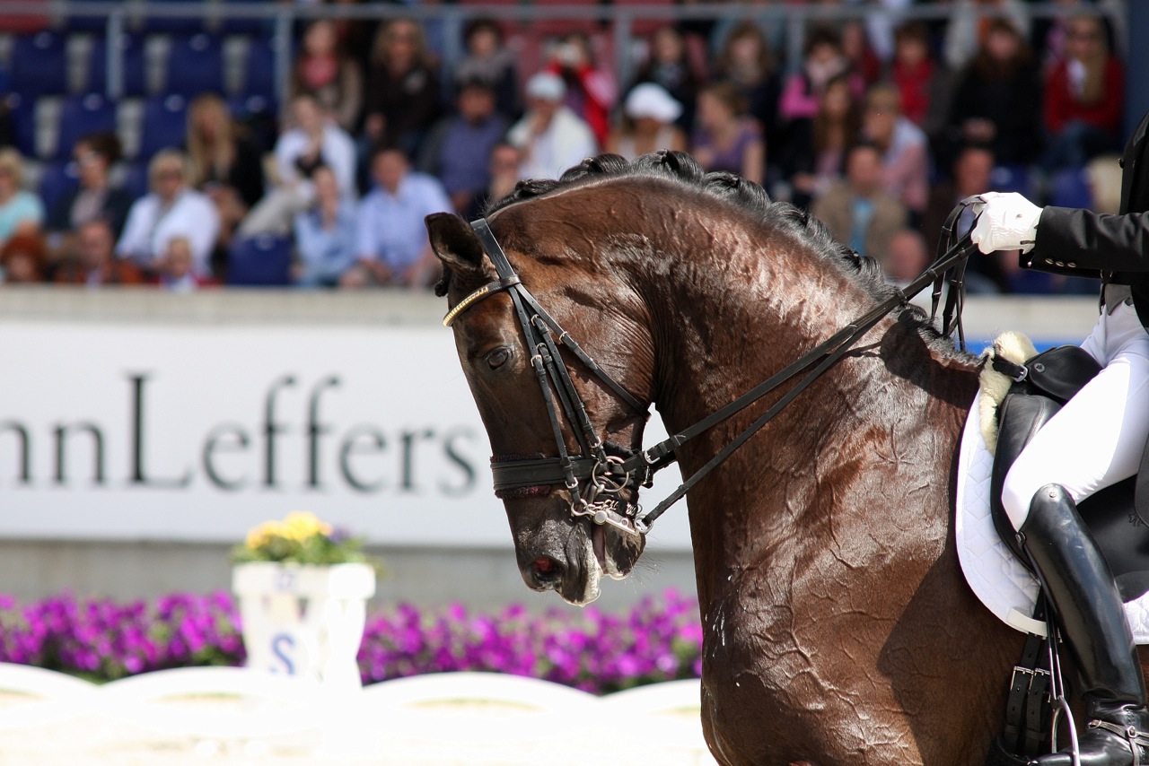 toots-and-imke-schellekens-bartels-dutch